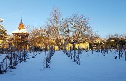 La ferme de Berlioz - Foto 53