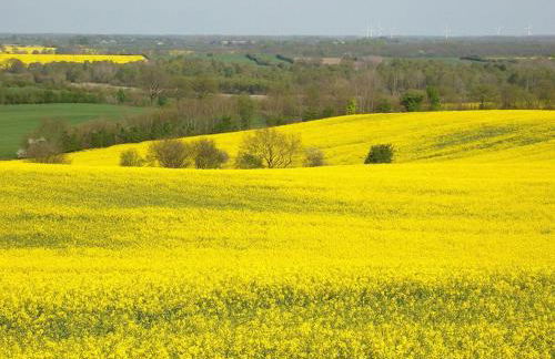 Ferienwohnung Brise 5, mit Spielscheune direkt am Wittensee - Photo 24