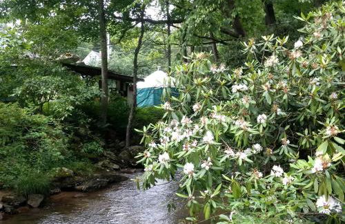 Charming Yurt Rental Nestled in the Forest near Friendsville, Maryland - Foto 19