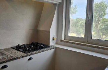 Quinta do Lagar - 05 - Foto 18