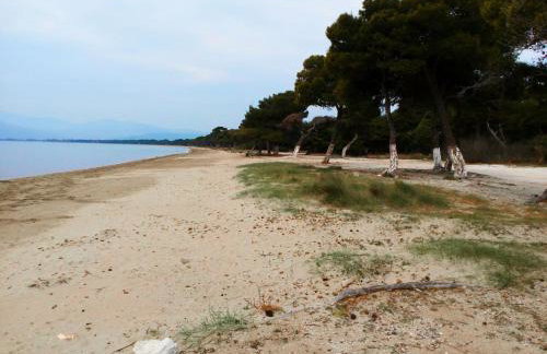 Belle Hélène - Foto 55