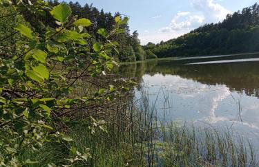 Domek Leśny Zakątek z klimatyzacją - Foto 8