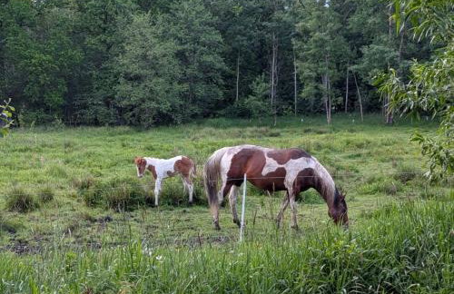 Apartamenty Malinówka pod Śnieżką - Foto 39