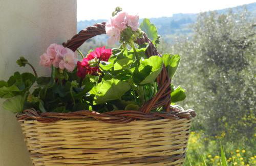 Masseria Santacatrini - Foto 105