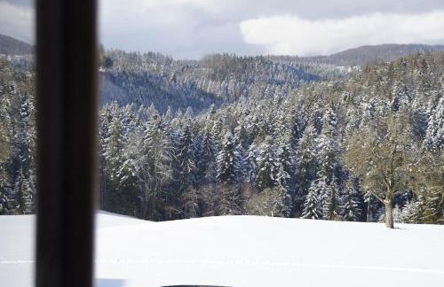 Bushof - Leben auf dem Land - Foto 19