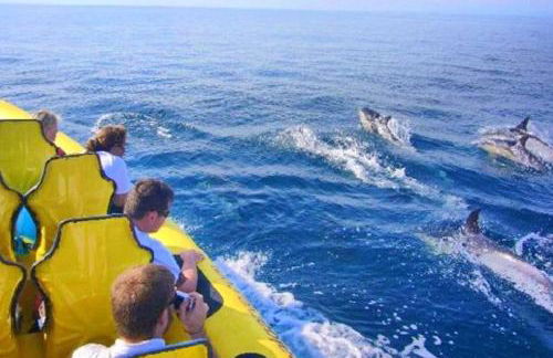 60m2 Lovely traditional apartment in Clube Albufeira - Foto 64