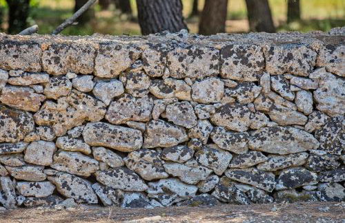 Torre Casciani - Foto 88