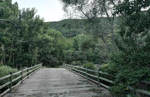 La nueva Escuela - Foto 31