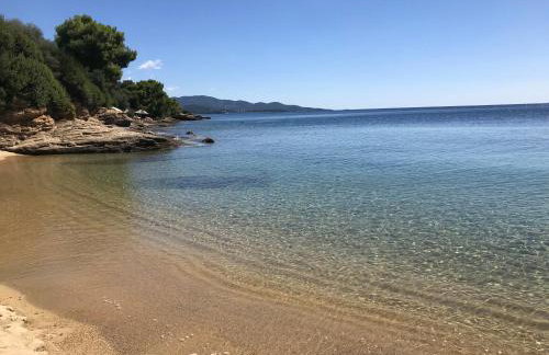 Akti Elia Villas Beachfront Collection - Photo 140