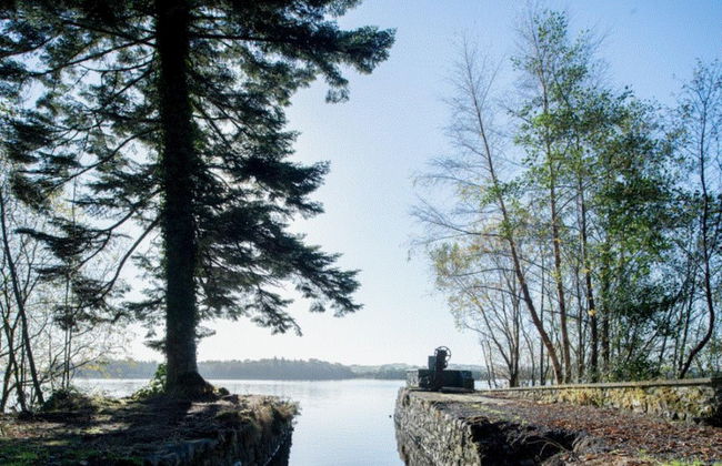 Virginia Park Lodge - Foto 37