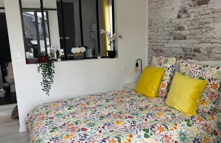 NOUVEAU AU COEUR DES CORDIERS ! QUARTIER HISTORIQUE - Foto 3