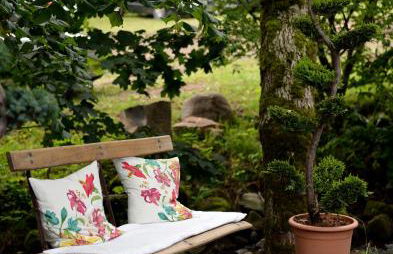 Ferienwohnung in den Dorfwiesen - Foto 18