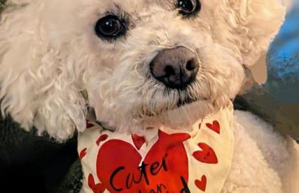 Hottub-nature-familyfriendly-wifi-parking - Foto 37