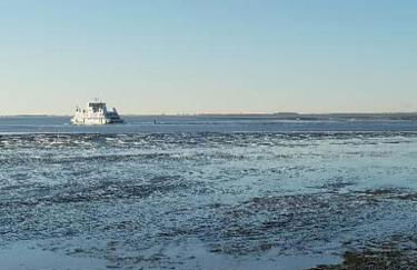 Oklahoma Home - Foto 21