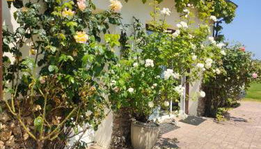 Belle maison de Campagne Confortable avec piscine, pétanque etc 17 couchages - Foto 2