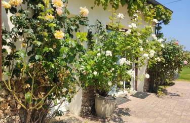 Belle maison de Campagne Confortable avec piscine, pétanque etc 17 couchages - Foto 2