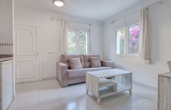 Eucaliptus - Foto 18