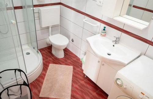 Dalmatian - Photo 30