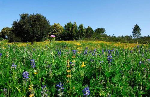 In der Natur und nah am Meer: Casa Sul - Photo 13