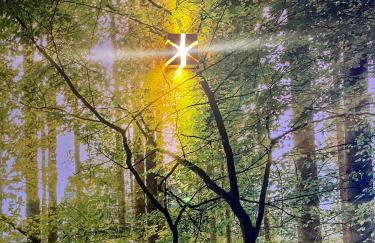 Ferienhaus Schwarzer Kater - Foto 10