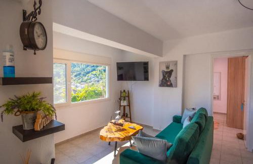 Remvi GUEST HOUSE - Photo 9