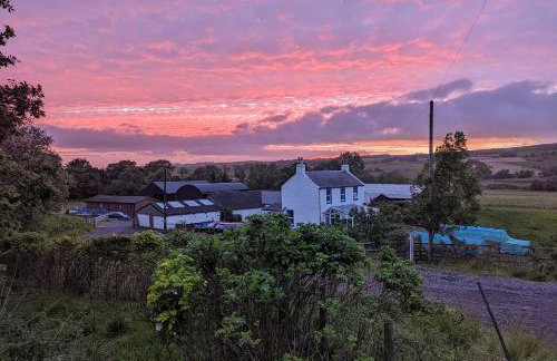 Glen Bay - 2 Bed Lodge on Friendly Farm Stay with Private Hot Tub - Foto 3