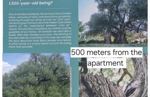 Apartman La me - Foto 29