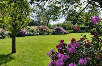 Ferienwohnung Haloi - Photo 24