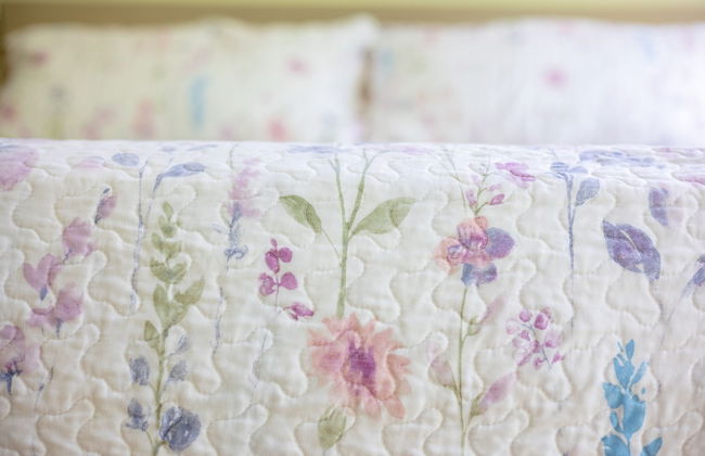 Rancho Haas - Photo 30