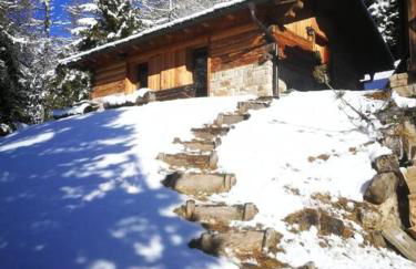 LA VOCE DEL BOSCO Selva di Cadore - Foto 11