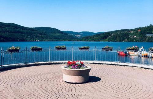 Heimatstub' Hinterzarten - Foto 8