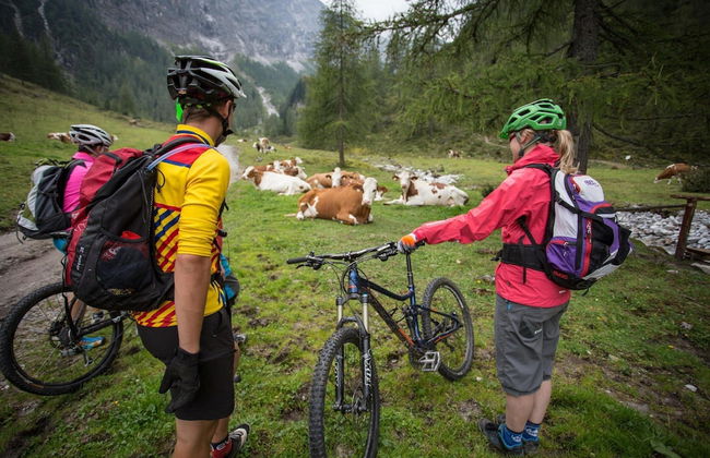 Apartment in Flachau Near Ski Slopes - Foto 13