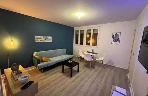 Appartement Prestige - Amiens - Foto 12
