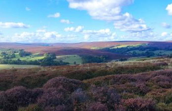 Bluebird Cottage - Foto 33