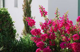 On The Rocks Villas Ios - Foto 71