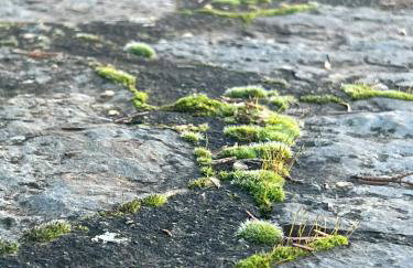 Mountain View - Full Villa - Foto 4