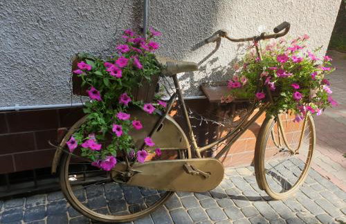 ApartHome Barbara 2 - Foto 6