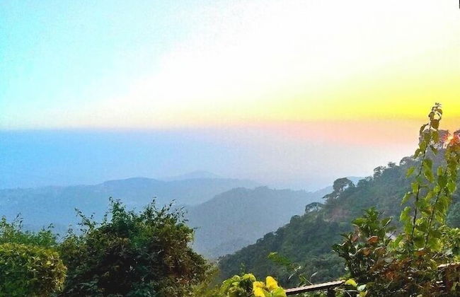 The Cloud Homestay - Foto 12