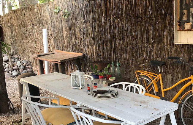 Dark Green House - Chacras de Coria - Photo 47