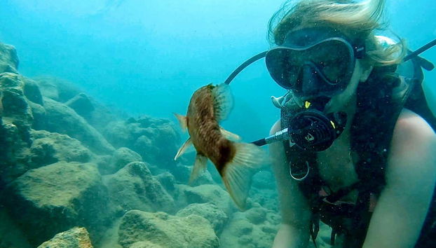 San Juan Diving Experience - Foto 4