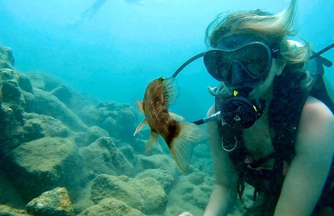 Baptême de plongée à San Juan - Photo 4