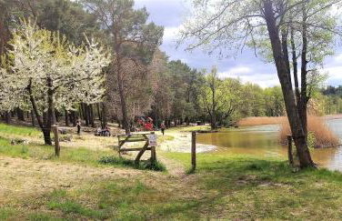 EKO - Domek jezioro Steszewko - Foto 31