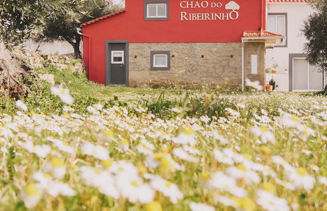 Chão do Ribeirinho, Castelo Branco - Foto 17