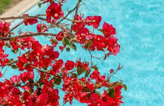 Luisa Holiday Home - Foto 29