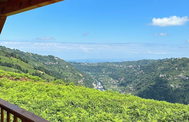 Kalivi Suit Bungalov - Foto 32