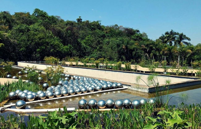 Excursión al Instituto Inhotim - Foto 2