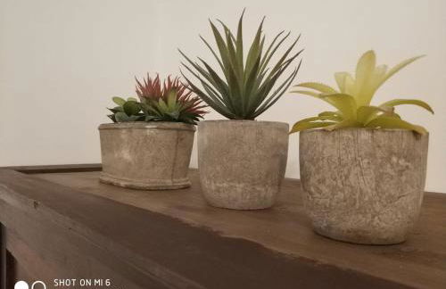 solaz del ambroz-Hervas - Foto 21