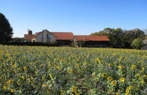 Ferienhof Obertor Heuboden - Foto 10