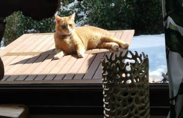 Eifelferienkurth - Photo 58