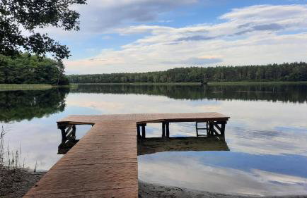 Między Sosnami - Foto 57